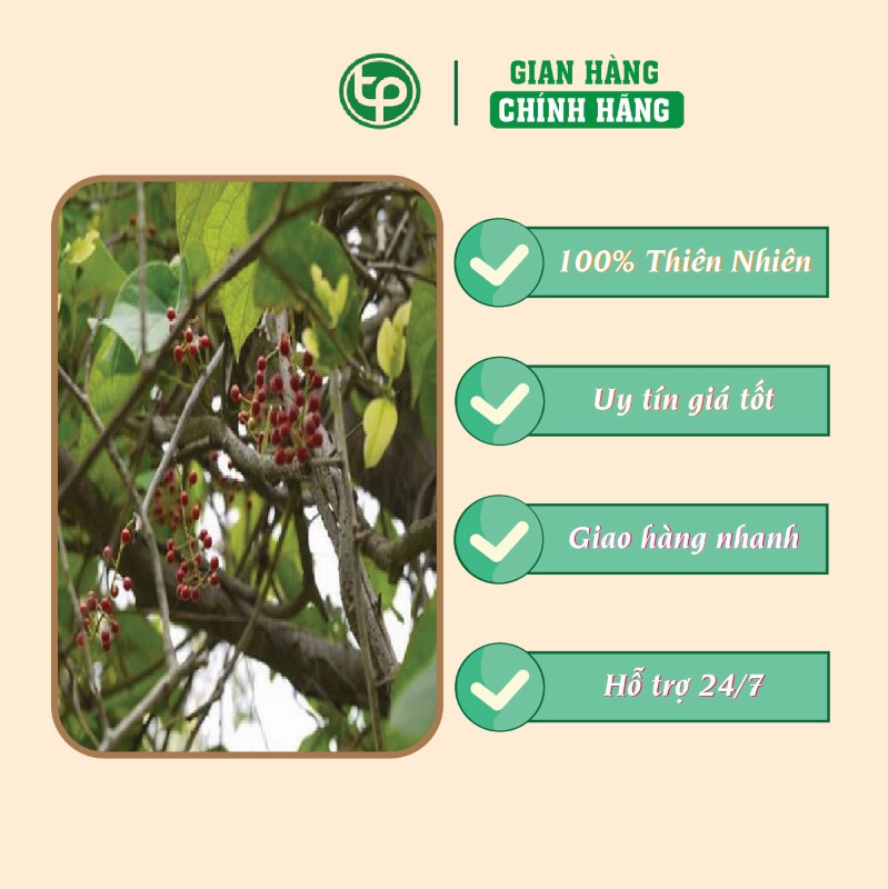 Công dụng của thần thông trong hỗ trợ điều trị đau nhức xương