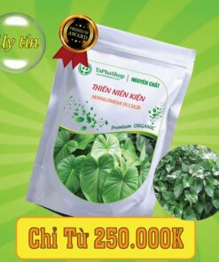 Công dụng vượt trội của thiên niên kiện đối với xương khớp