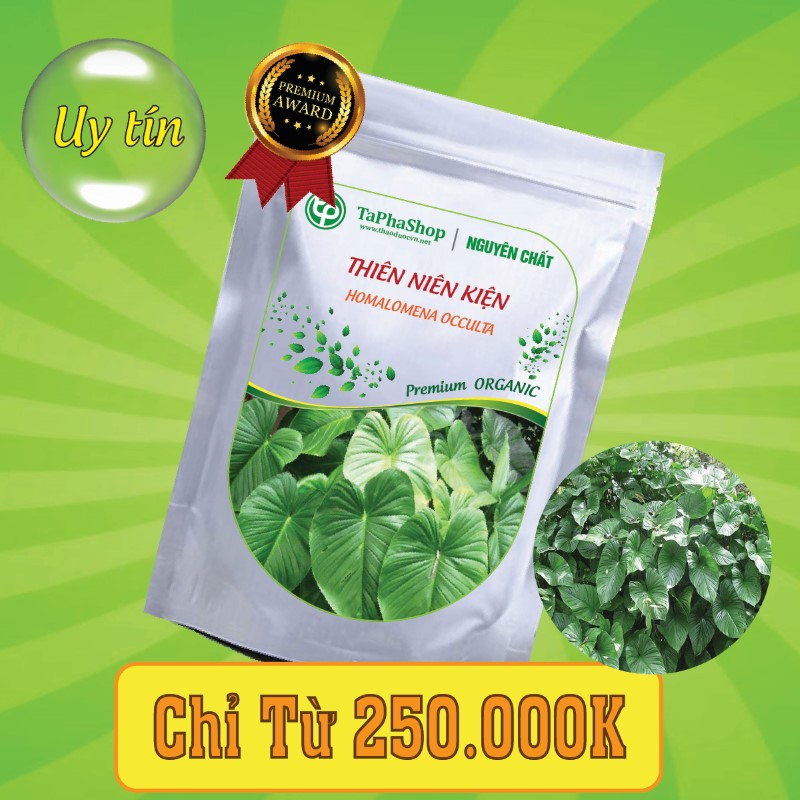 Công dụng vượt trội của thiên niên kiện đối với xương khớp