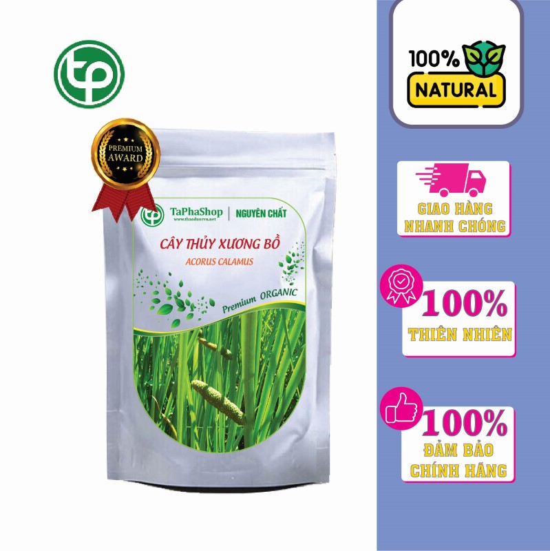 Cây thủy xương bồ tại Tấn Phát 