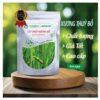 Giới thiệu cây thủy xương bồ – sản phẩm chất lượng tại Tấn Phát