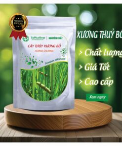 Giới thiệu cây thủy xương bồ – sản phẩm chất lượng tại Tấn Phát