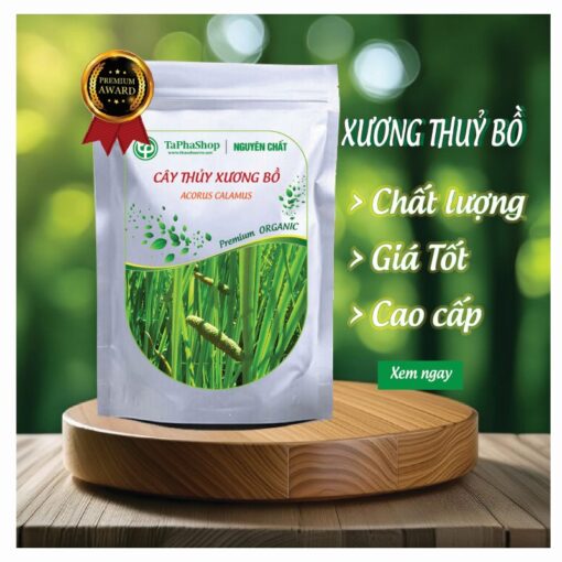 Giới thiệu cây thủy xương bồ – sản phẩm chất lượng tại Tấn Phát