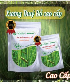 Hướng dẫn sử dụng cây thủy xương bồ hỗ trợ tiêu hóa