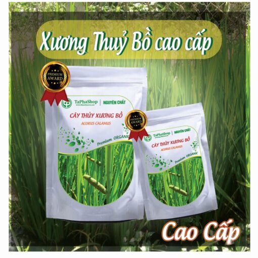Hướng dẫn sử dụng cây thủy xương bồ hỗ trợ tiêu hóa