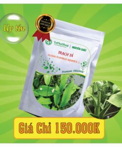 Công dụng nổi bật của trạch tả trong việc hỗ trợ điều trị sỏi thận