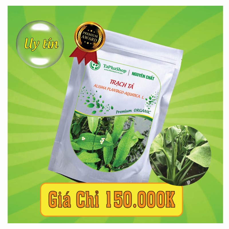 Công dụng nổi bật của trạch tả trong việc hỗ trợ điều trị sỏi thận