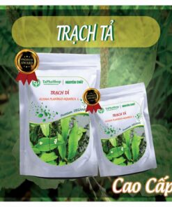 Cách dùng trạch tả hỗ trợ điều trị sỏi thận chuẩn khoa học