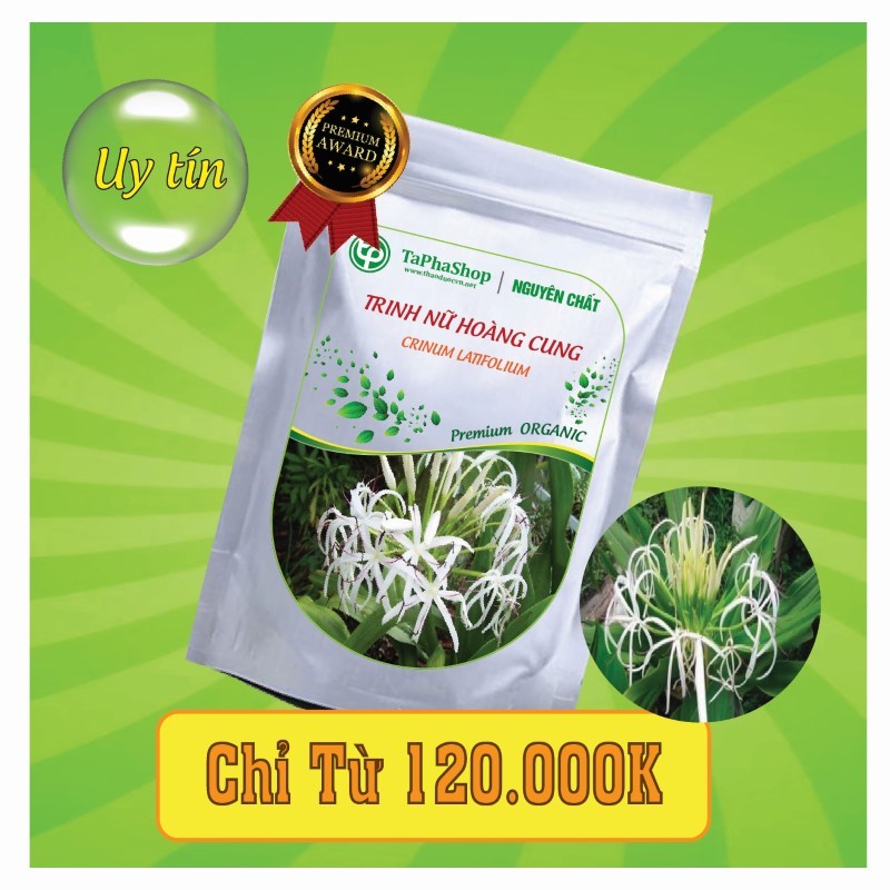 Công dụng nổi bật của cây trinh nữ hoàng cung trong việc điều trị u xơ tử cung