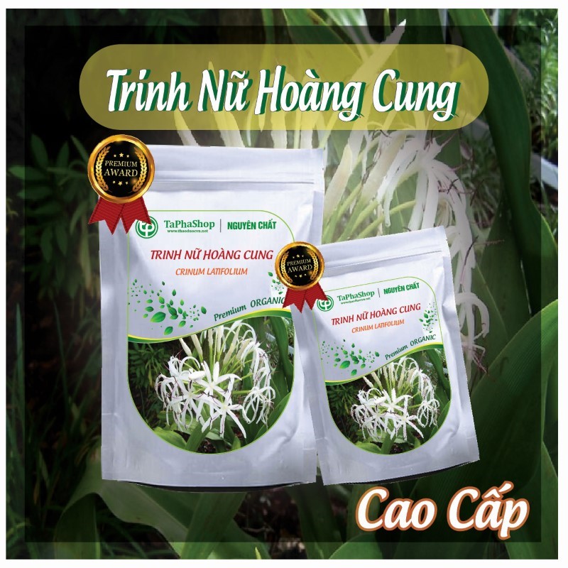 Hướng dẫn sử dụng trinh nữ hoàng cung hỗ trợ điều trị u xơ tử cung đúng cách