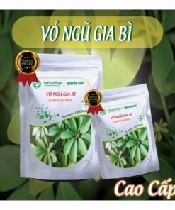 Cách dùng vỏ ngũ gia bì hỗ trợ điều trị xương khớp an toàn