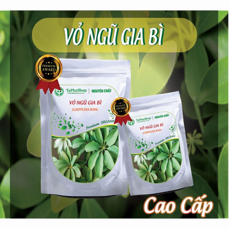 Cách dùng vỏ ngũ gia bì hỗ trợ điều trị xương khớp an toàn