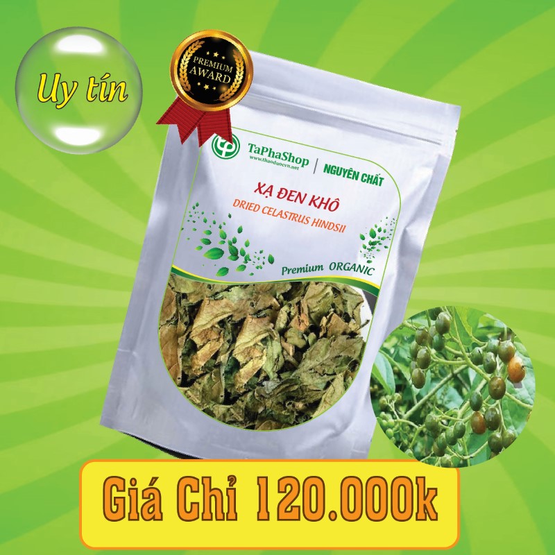 Công dụng của xạ đen khô trong việc hỗ trợ điều trị ung thư