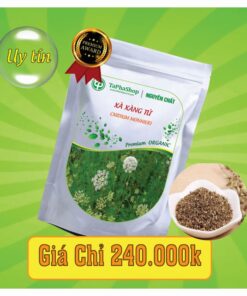 Công dụng của xà xàng tử trong việc điều trị rối loạn kinh nguyệt
