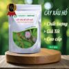 Sản phẩm cây xấu hổ chất lượng tại Thảo Dược Tấn Phát