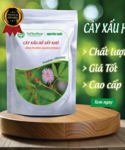 Sản phẩm cây xấu hổ chất lượng tại Thảo Dược Tấn Phát