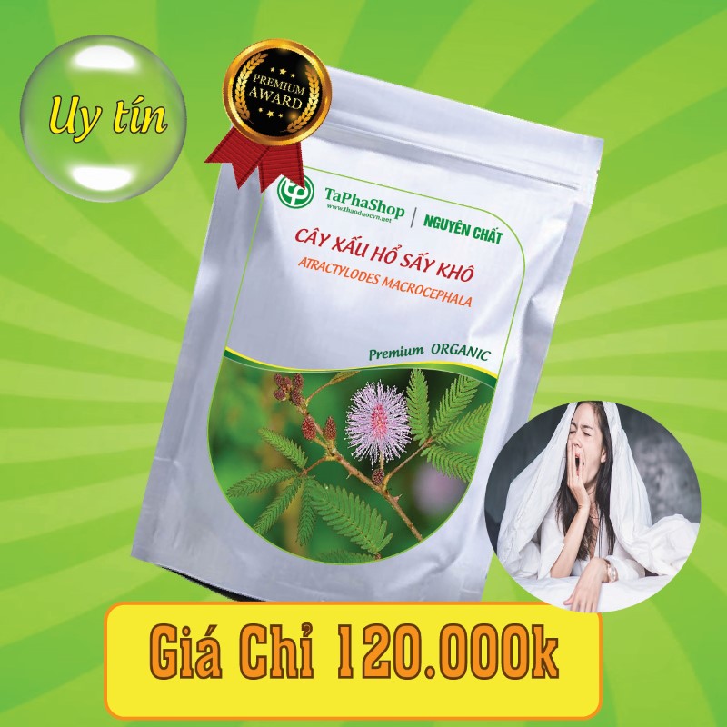Công dụng của cây xấu hổ trong việc điều trị mất ngủ