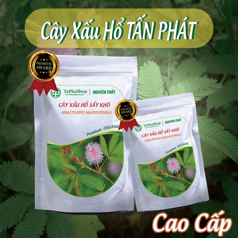 Hướng dẫn sử dụng cây xấu hổ điều trị mất ngủ
