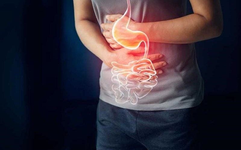 Hướng dẫn sử dụng bạc hà hỗ trợ điều trị rối loạn tiêu hoá