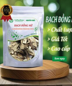 Giới thiệu sản phẩm bạch đồng nữ của Tấn Phát