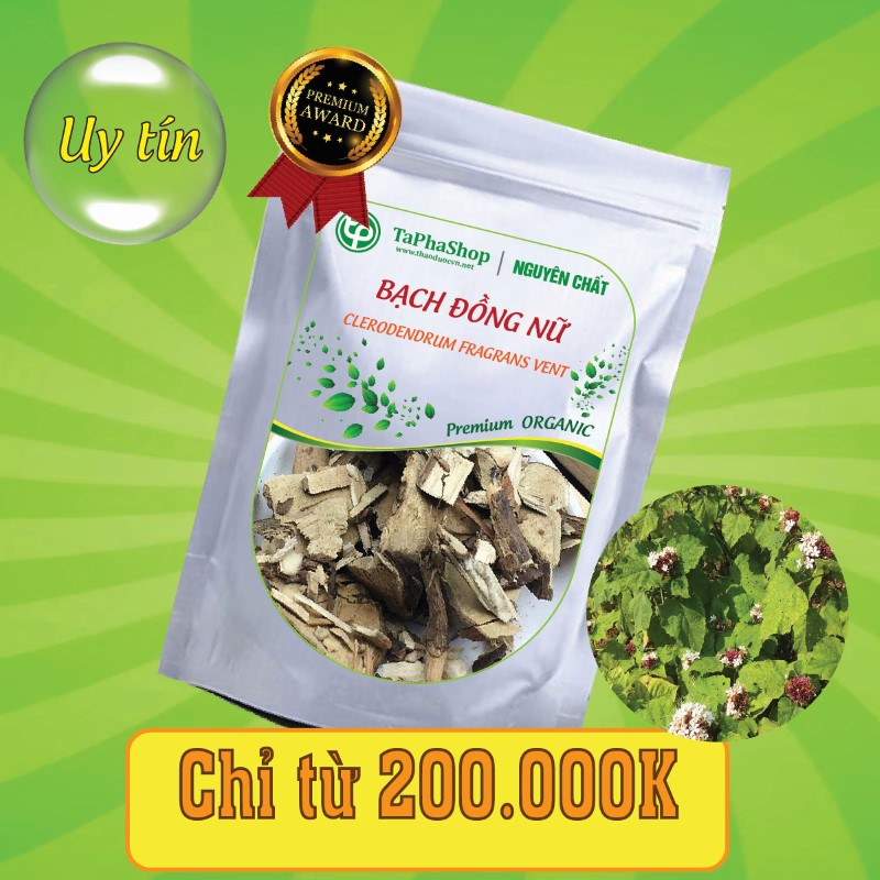 Công dụng của bạch đồng nữ trong điều trị viêm nhiễm phụ khoa