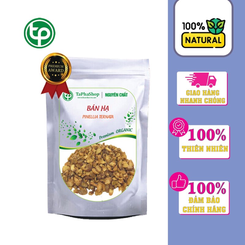 Bán hạ điều trị đau dạ dày Tấn Phát