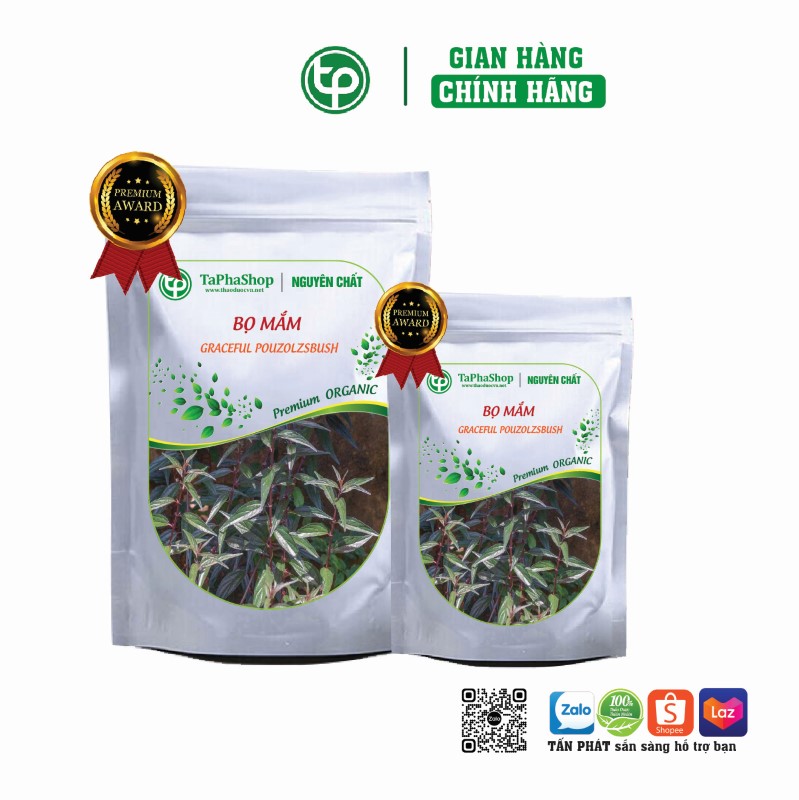 Bọ mắm chữa đau nhức cơ thể