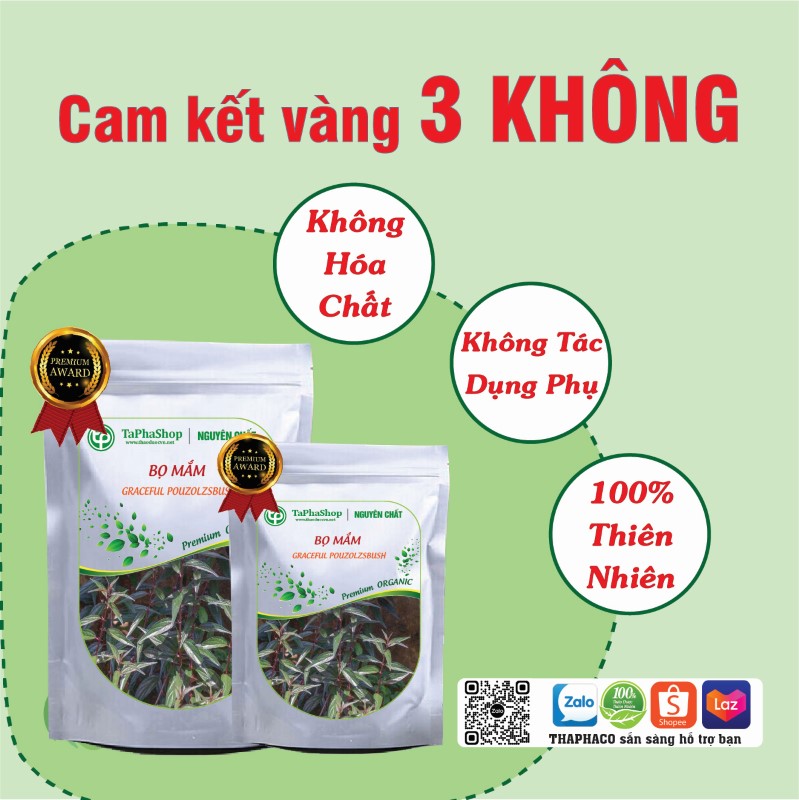 Bọ mắm hỗ trợ điều trị đau nhức cơ thể