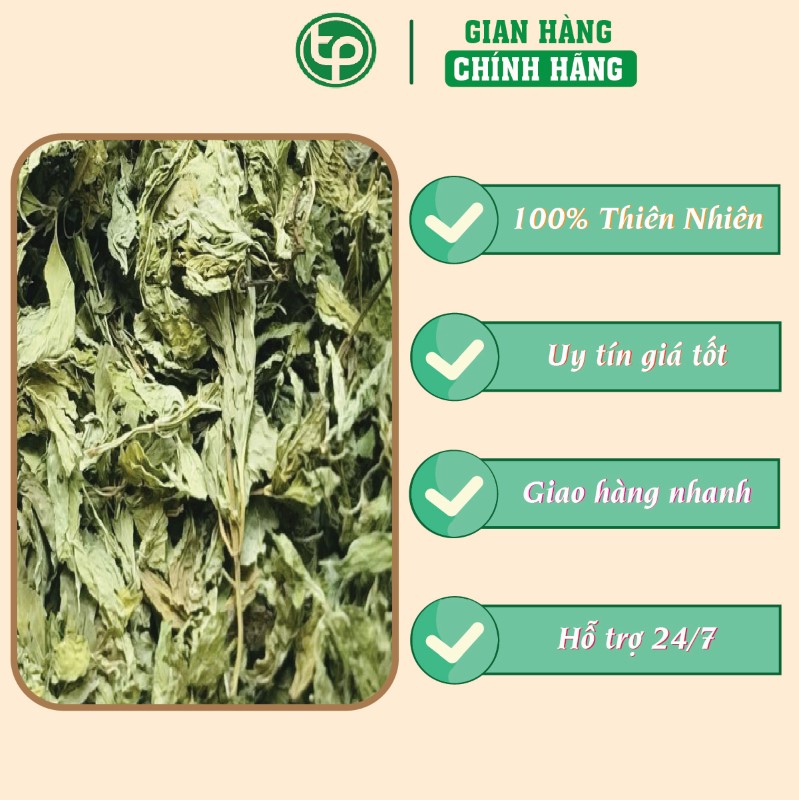 Cây bạc hà khô hỗ trợ điều trị cảm cúm Tấn Phát