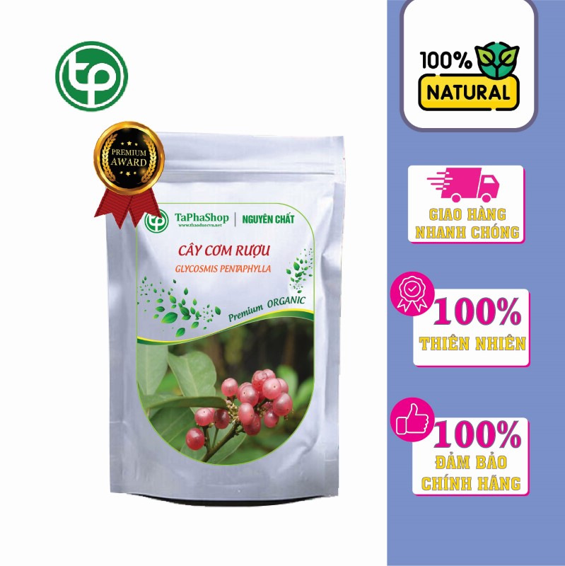 Giới thiệu về cây cơm rượu tại Thảo Dược Tấn Phát