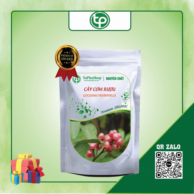 Cây cơm rượu giá rẻ