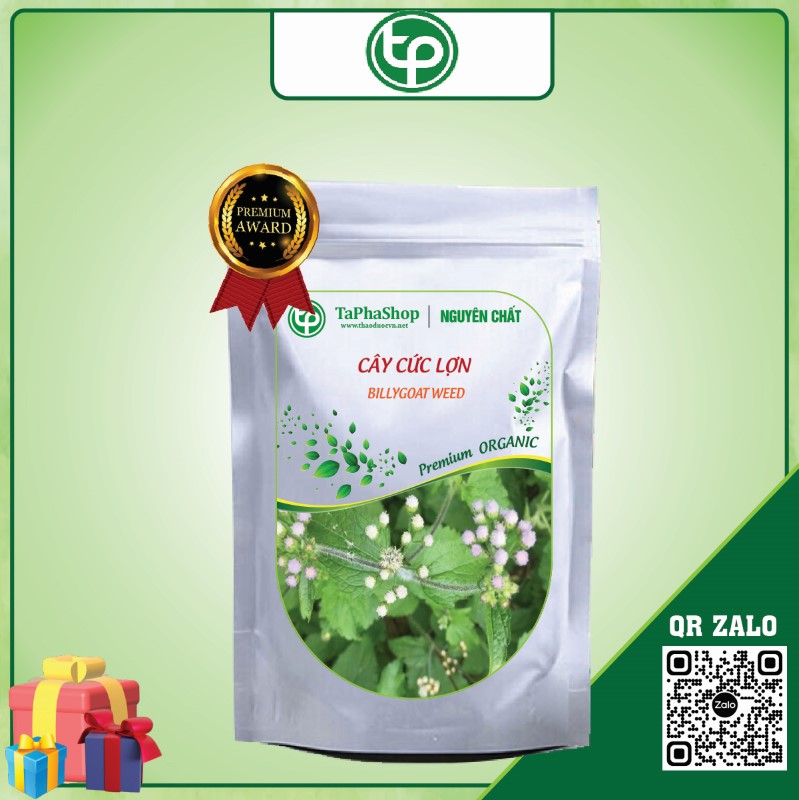 Cây cứt lợn giá rẻ tại Tấn Phát