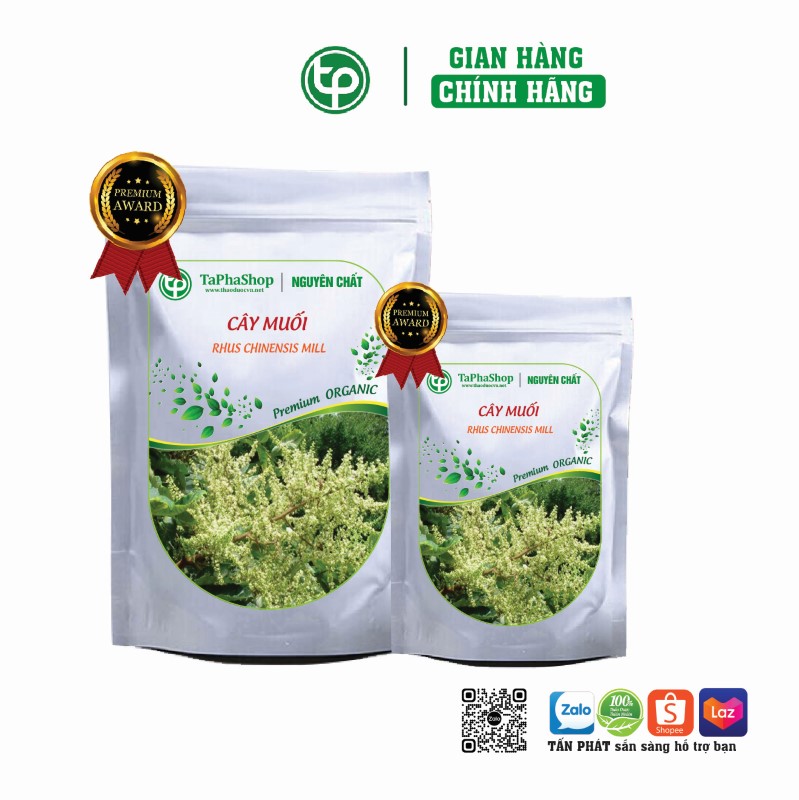 Cây muối chữa thoái hoá khớp