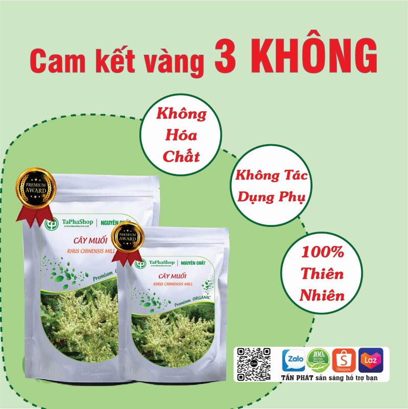 Cây muối hỗ trợ điều trị viêm khớp