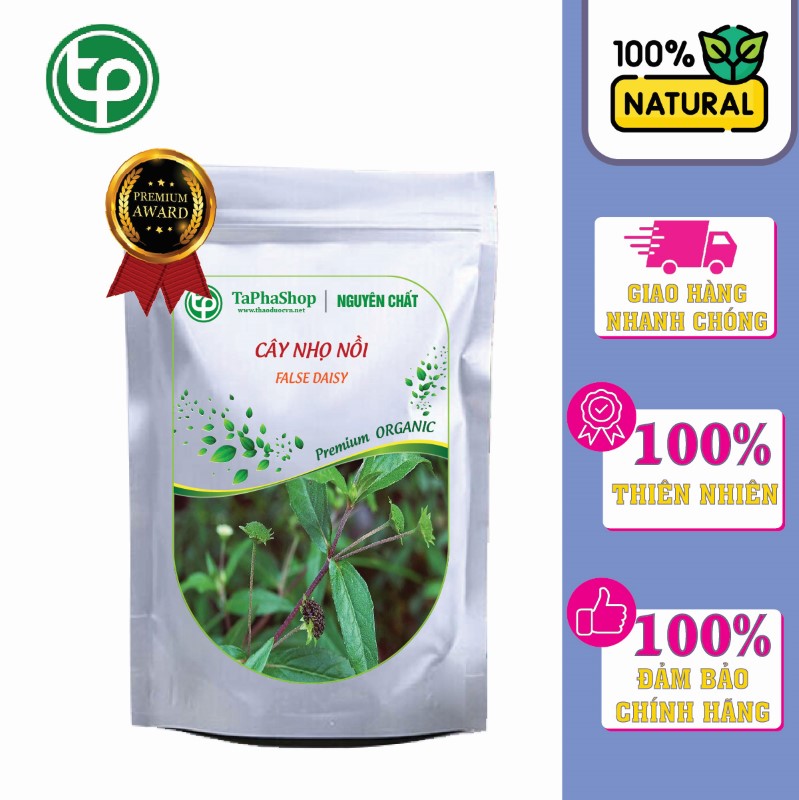 Giới thiệu cây nhọ nhồi trị xuất huyết tại Thảo Dược Tấn Phát