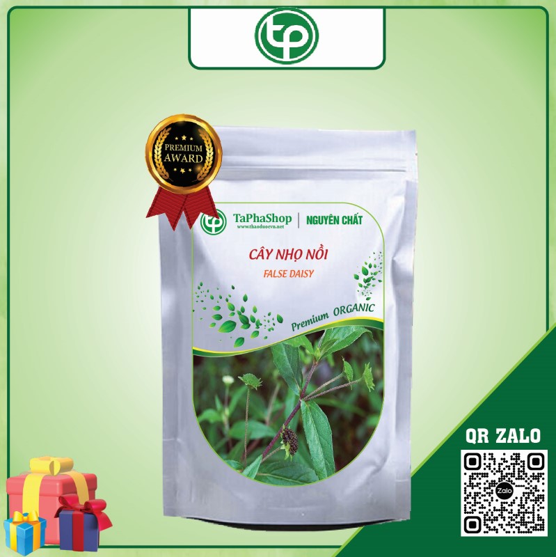 Cây nhọ nồi giá rẻ tại TP.HCM