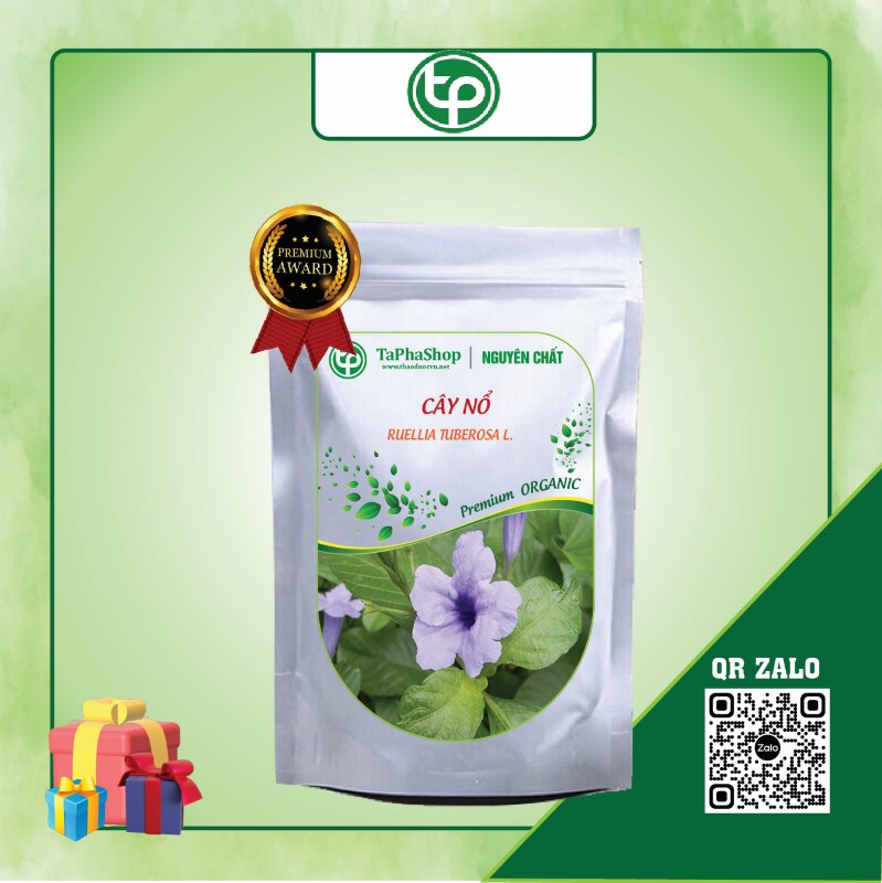 Cây nỗ trợ hỗ trợ điều trị phù thũng