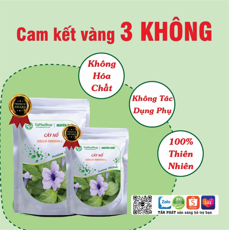 Cây nổ chữa phù thũng