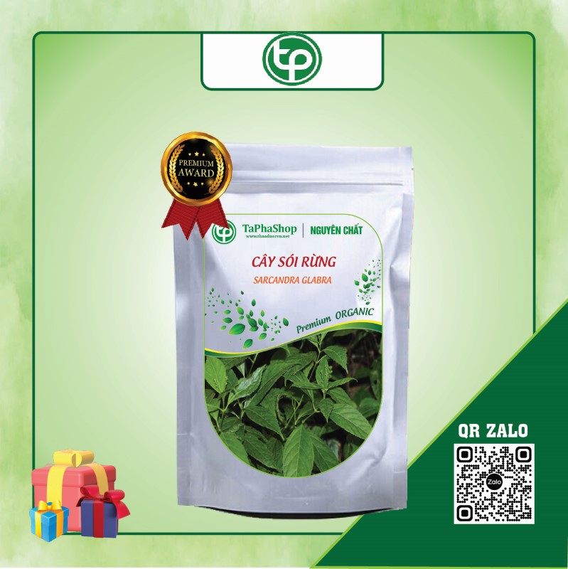 Cây sói rừng giá rẻ