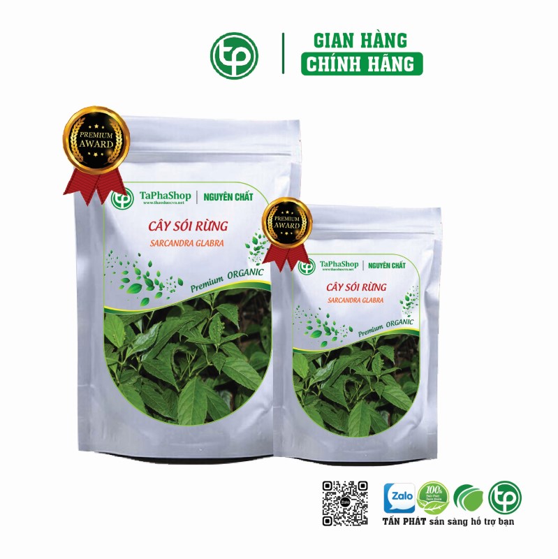 Cây sói rừng hỗ trợ điều trị đau nhứt xương khớp