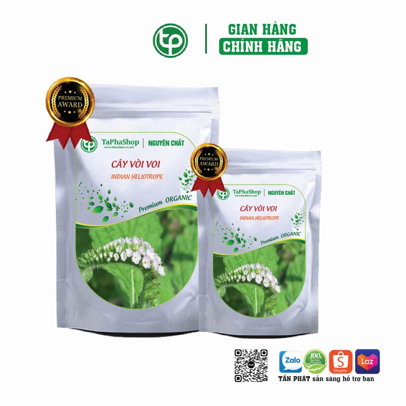 Cây vòi voi chữa thoát vị đĩa đệm