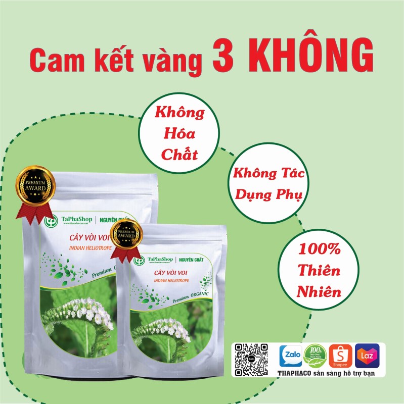 Cây vòi voi hỗ trợ điều trị thoát vị đĩa đệm