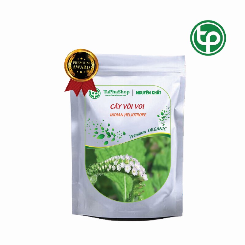 Cách dùng cây vòi voi hỗ trợ điều trị đau lưng tại nhà hiệu quả