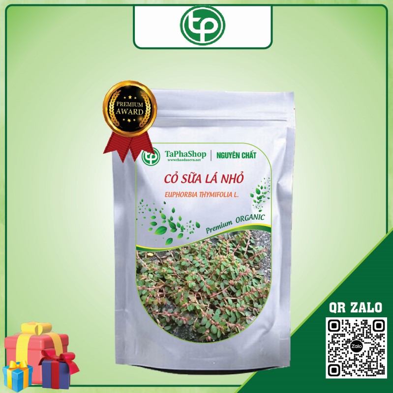 Cỏ sữa lá nhỏ giá rẻ tại TP.HCM