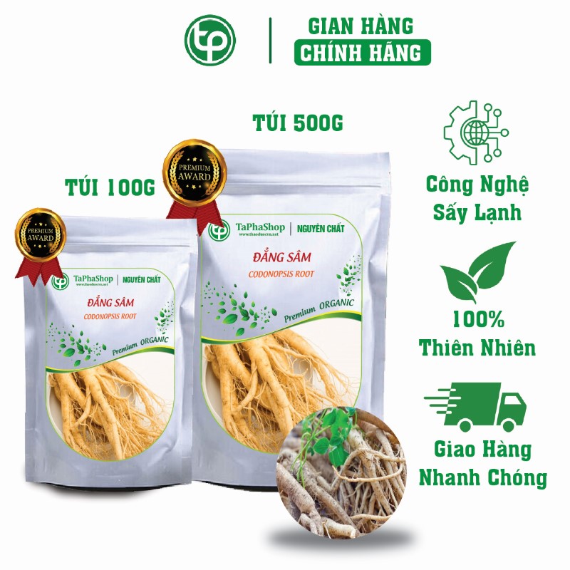 Đẳng sâm trong hỗ trợ điều trị thiếu máu