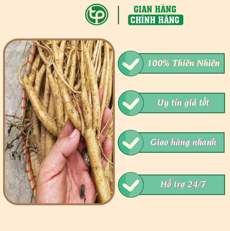 dang samArtboard 7@2x-100