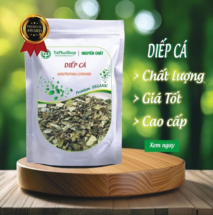 Diếp cá của Thảo Dược Tấn Phát