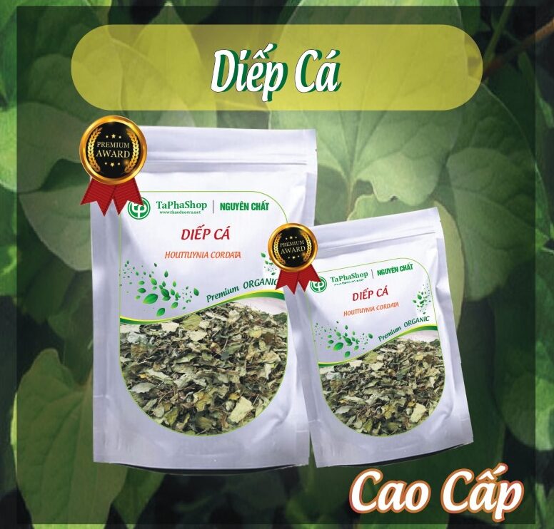 Cách dùng diếp cá chữa bệnh trĩ tại nhà