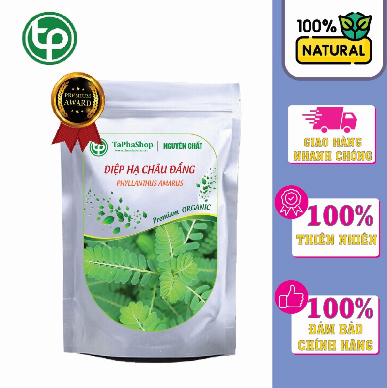 Giới thiệu sản phẩm diệp hạ châu đắng của Thảo Dược Tấn Phát