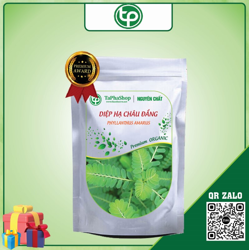 Diệp hạ châu đắng giá rẻ tại TP.HCM